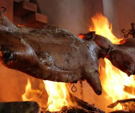 La Quercia Della Gallura *