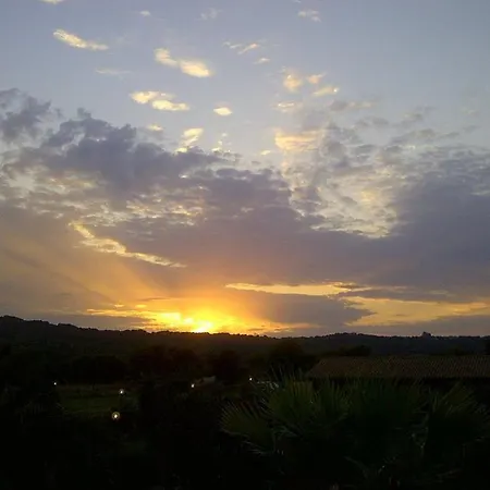 La Quercia Della Gallura *