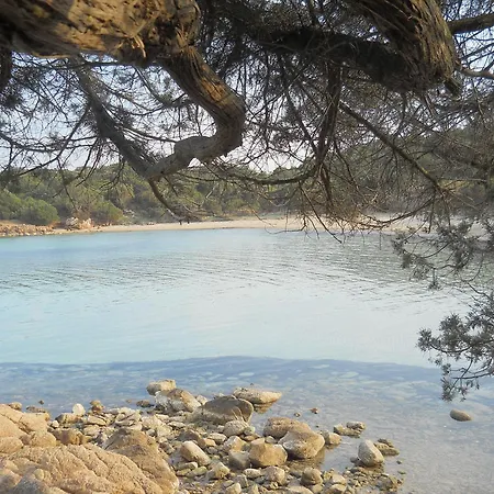 בית כפרי La Quercia Della Gallura *