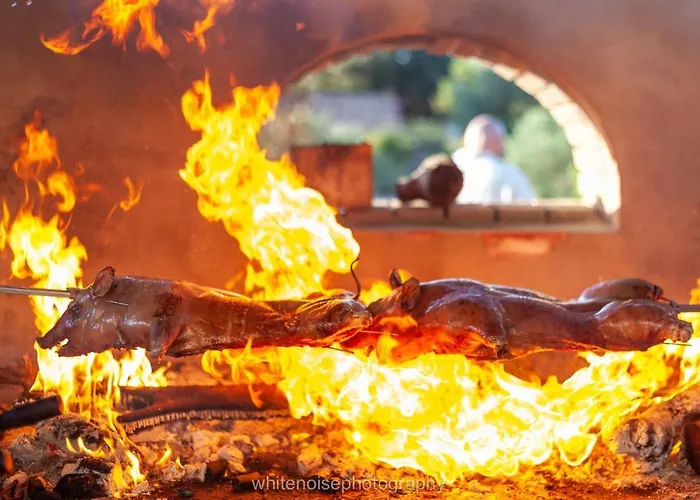 Country house La Quercia Della Gallura *