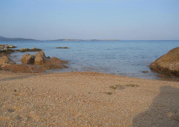 La Quercia Della Gallura