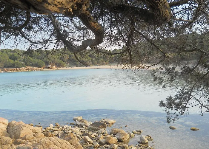 Country house La Quercia Della Gallura *