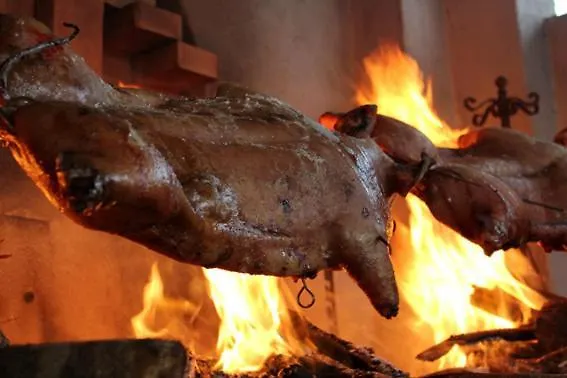 La Quercia Della Gallura *