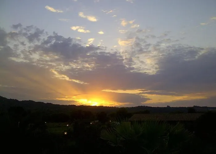 La Quercia Della Gallura *